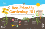 Tips for Bee Friendly Garden (PDF)