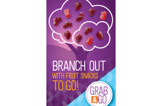 Branch Out Fruit Snacks image