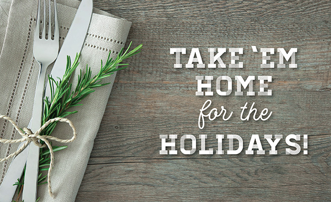 take-em-home-for-the-holidays-article-hero