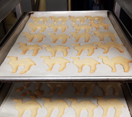 Two trays of camel shaped sugar cookies on a pan rack